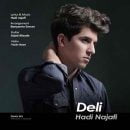 دانلود آهنگ هادی نجفی دلی