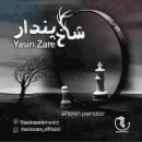 دانلود آهنگ یاسین زارع شاخ پندار