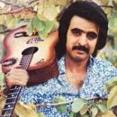 دانلود آهنگ یار دبستانی من فریدون فروغی