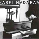 دانلود آهنگ دانوش حرفی ندارم