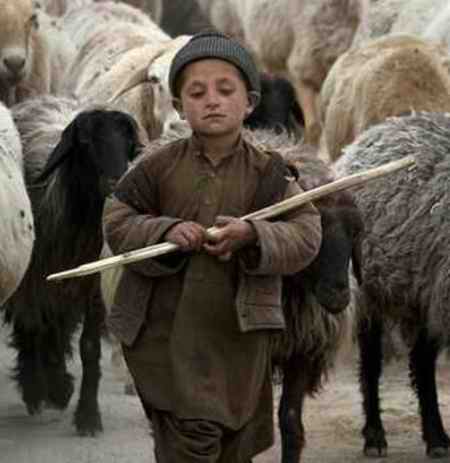 دانلود آهنگ چوپان تنها ببل دانلود آهنگ چوپان تنها