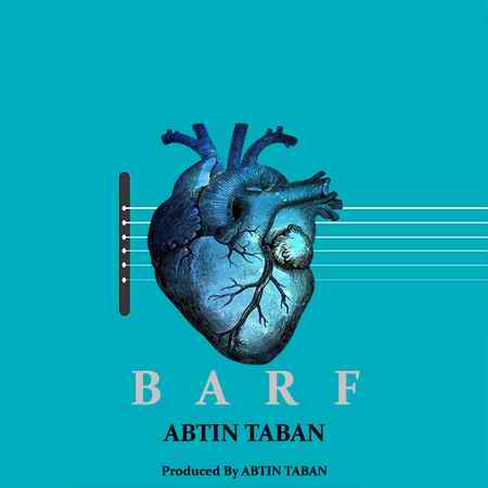 دانلود آهنگ آبتین تابان برف barf cover دانلود آهنگ آبتین تابان برف