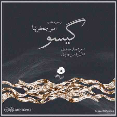 دانلود آهنگ امیر جعفرنیا گیسو final 500 دانلود آهنگ امیر جعفرنیا گیسو