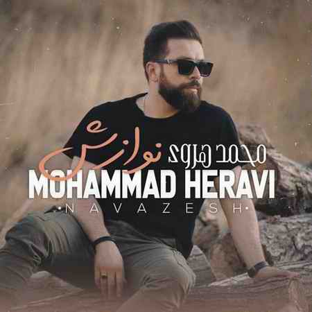 دانلود آهنگ محمد هروی نوازش Mohammad Heravi Navazesh دانلود آهنگ محمد هروی نوازش