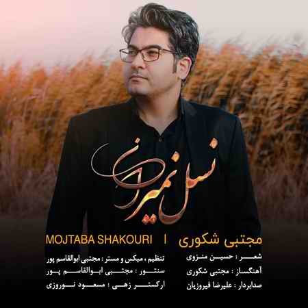 photo ۲۰۲۱ ۰۸ ۱۴ ۲۱ ۱۸ ۴۳ دانلود آهنگ مجتبی شکوری نسل نمیران