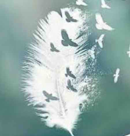 دانلود آهنگ تو پر پرواز منی تو خوشگل ناز منی kuy دانلود آهنگ تو پر پرواز منی تو خوشگل ناز منی