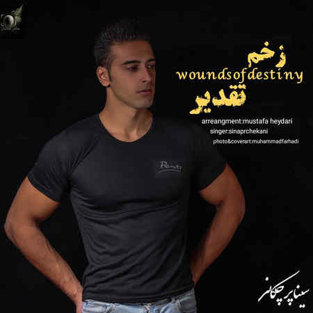 دانلود آهنگ سینا پرچکانی زخم تقدیر Zakhme Taghdir دانلود آهنگ سینا پرچکانی زخم تقدیر