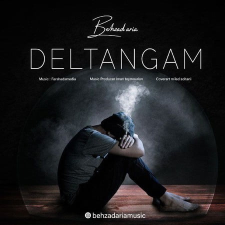 Behzad Aria Deltangam دانلود آهنگ بهزاد آریا دلتنگم