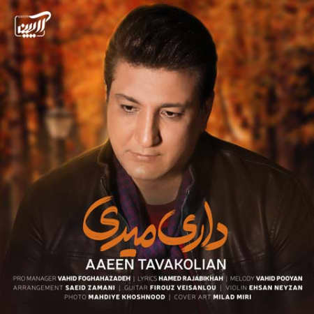 دانلود آهنگ آیین توکلیان داری میری Aaeen Tavakolian Dari Miri دانلود آهنگ آیین توکلیان داری میری