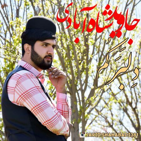 دانلود آهنگ جاوید شاه آبادی دلبرکم Javid Shahabadi Delbarakom دانلود آهنگ جاوید شاه آبادی دلبرکم