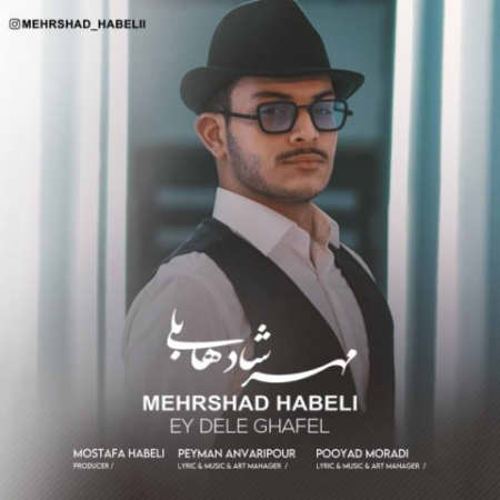 دانلود آهنگ مهرشاد هابلی ای دل غافل mehrshad habeli ey dele ghafel 2022 03 18 13 09 02 دانلود آهنگ مهرشاد هابلی ای دل غافل