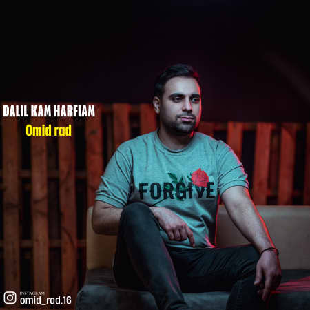 دانلود آهنگ امید راد دلیل کم حرفیام کاور اصلی2 دانلود آهنگ امید راد دلیل کم حرفیام