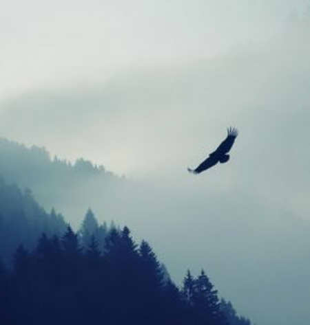 دانلود آهنگ تو پر پرواز منی تو خوشگل ناز منی ریمیکس casd دانلود آهنگ تو پر پرواز منی تو خوشگل ناز منی ریمیکس