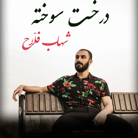 دانلود آهنگ شهاب فلاح درخت سوخته  دانلود آهنگ شهاب فلاح درخت سوخته