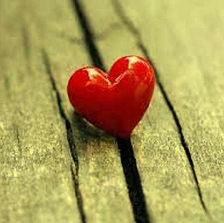 دانلود آهنگ داستان عشق Andy Williams Love Story subf2ms.com دانلود آهنگ داستان عشق