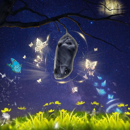 دانلود آهنگ محمد کانو فیت تباه پیله Mohammad Kanu feat Tabah Pileh 0da91 دانلود آهنگ محمد کانو فیت تباه پیله