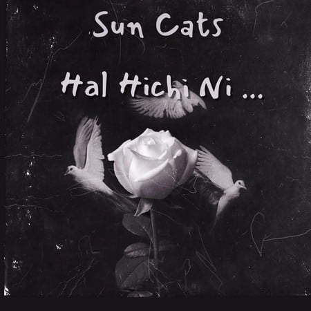 Sun Cats Hal Hichi Nist 8920c دانلود آهنگ سان کتس حال هیچی نیست