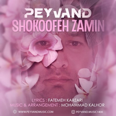 Peyvand Shokoofeh Zamin دانلود آهنگ پیوند شکوفه زمین