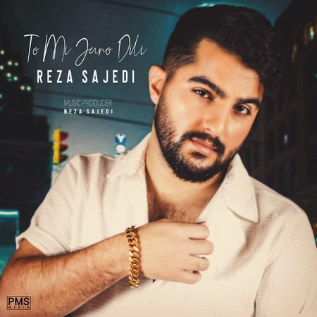 Reza Sajedi To Mi Jano Dili fb19d دانلود آهنگ رضا ساجدی تو می جانو دیلی