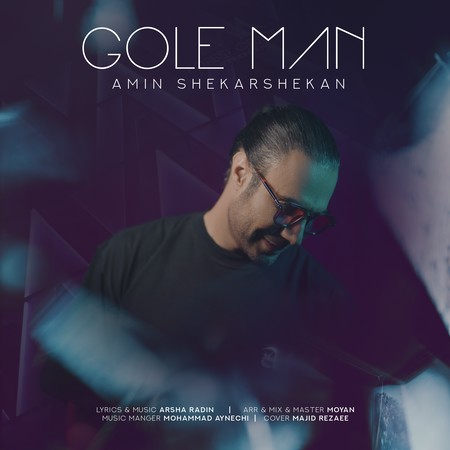 IMG 0662 دانلود آهنگ امین شکرشکن گل من