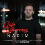 دانلود آهنگ ندیم گل قرمز دانلود آهنگ ندیم گل قرمز
