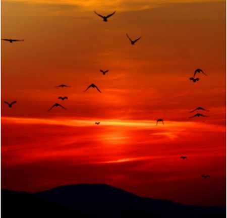 دانلود آهنگ یه روزی تنگ غروب آسمون Screenshot 2023 12 10 075640 دانلود آهنگ یه روزی تنگ غروب آسمون