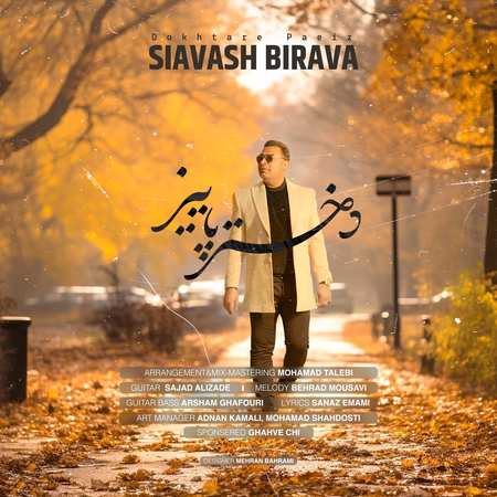 دانلود آهنگ سیاوش بی روا دختر پاییز Siavash birava Dokhtare Paeiz 164d1 دانلود آهنگ سیاوش بی روا دختر پاییز