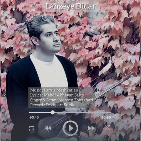 دانلود آهنگ محسن ذوالفقاری لحظه دیدار Mohsen Zolfaghari Lahzeye Didar b46d6 دانلود آهنگ محسن ذوالفقاری لحظه دیدار