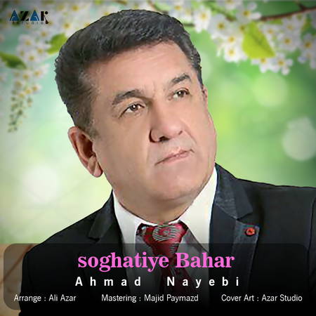 Ahmad Nayebi Soghatiye Bahar 558de دانلود آهنگ احمد نایبی سوغاتی بهار