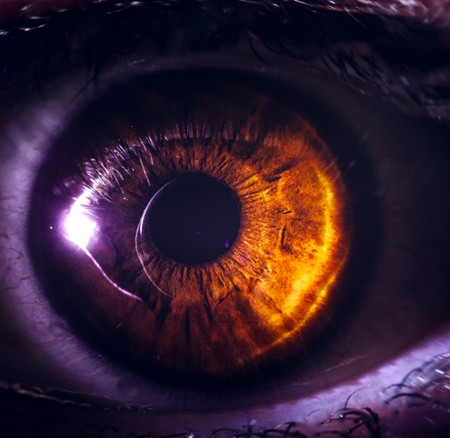 Screenshot 2024 04 12 013055 دانلود آهنگ سرتو بیار بالا آدم چشاش انقد خوشگله