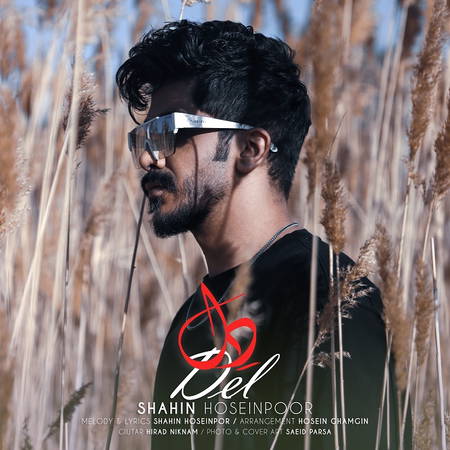 دانلود آهنگ شاهین حسین پور دل Shahin Hoseinpoor Del دانلود آهنگ شاهین حسین پور دل
