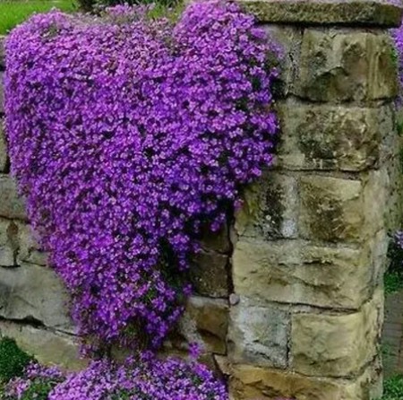 Screenshot 2024 06 23 155746 دانلود آهنگ یه جایی توی قلبت هست ریمیکس