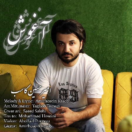 Amirhoseinkaseb Aghosh d5d5c resize 44 1 دانلود آهنگ امیرحسین کاسب آغوش