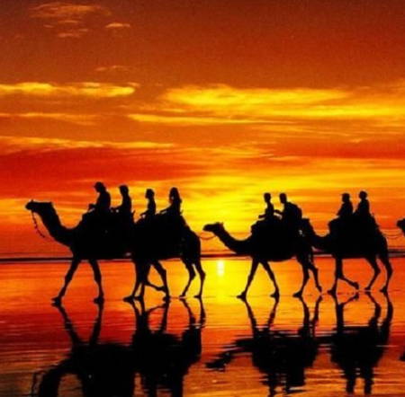 دانلود نوحه کاروان آرام قدری آهسته Screenshot 2024 07 01 114731 دانلود نوحه کاروان آرام قدری آهسته