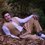 دانلود آهنگ علی احمدیانی ژلوفن