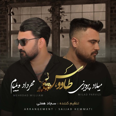 photo 2024 07 01 13 10 27 دانلود آهنگ میلاد پرویزی و مهرداد ویلیام طاووس