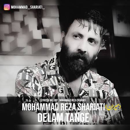 photo 2024 07 19 15 14 52 دانلود آهنگ محمدرضا شریعتی دلم تنگه