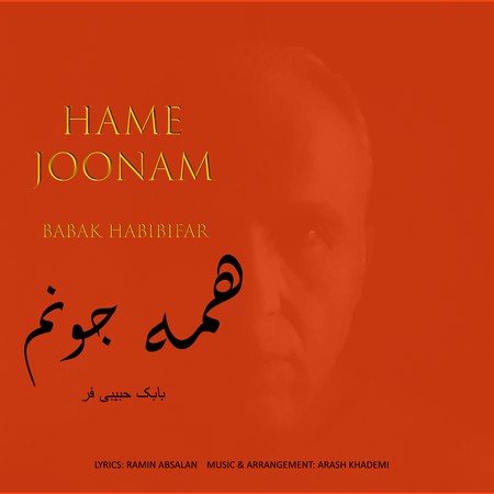 Babak Habibifar Hame Joonam c8a77 دانلود آهنگ بابک حبیبی فر همه جونم