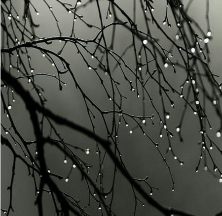 دانلود آهنگ نگاتو عشقه با بارون وبرف دلم خواست Screenshot 2024 08 20 002604 دانلود آهنگ نگاتو عشقه با بارون وبرف دلم خواست