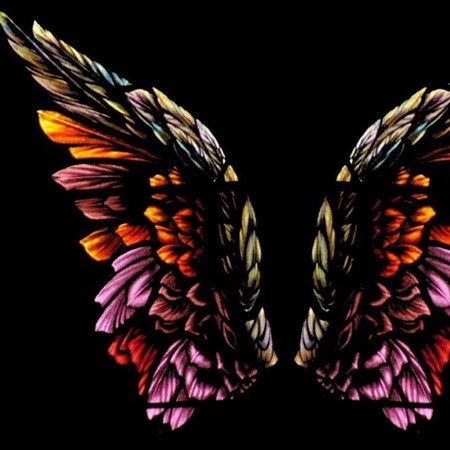 دانلود آهنگ ای خدا بال بده تا بال بگیرم سر دروازه ی شیراز نشینم Screenshot 2024 08 21 014612 دانلود آهنگ ای خدا بال بده تا بال بگیرم سر دروازه ی شیراز نشینم