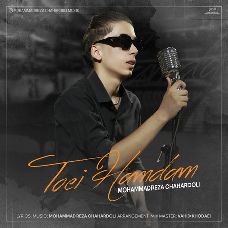 دانلود آهنگ محمدرضا چهاردولی تویی همدم mohammadreza chahardoli toei hamdam 47213 دانلود آهنگ محمدرضا چهاردولی تویی همدم