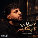 دانلود آهنگ تو بری قول میدم تا ابد غمگینم دانلود آهنگ تو بری قول میدم تا ابد غمگینم