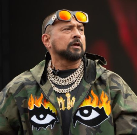 دانلود آهنگ go down deh از Sean Paul Capture 1 دانلود آهنگ go down deh از Sean Paul