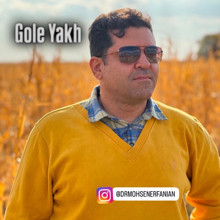 دانلود آهنگ محسن عرفانیان گل یخ Mohsen Erfanian Gole Yakh a973c دانلود آهنگ محسن عرفانیان گل یخ