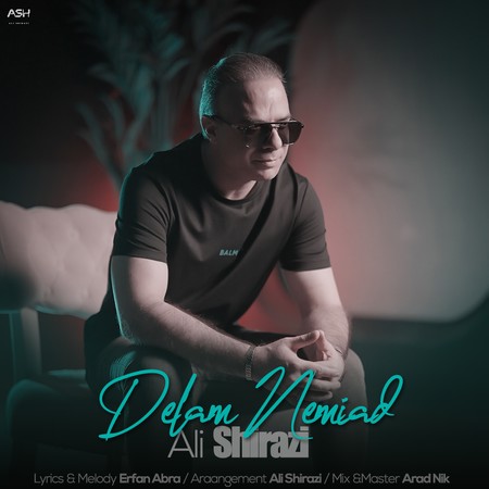 دانلود آهنگ علی شیرازی دلم نمیاد alishirazi delamnemiad دانلود آهنگ علی شیرازی دلم نمیاد
