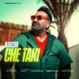 دانلود آهنگ برزین چه تکی