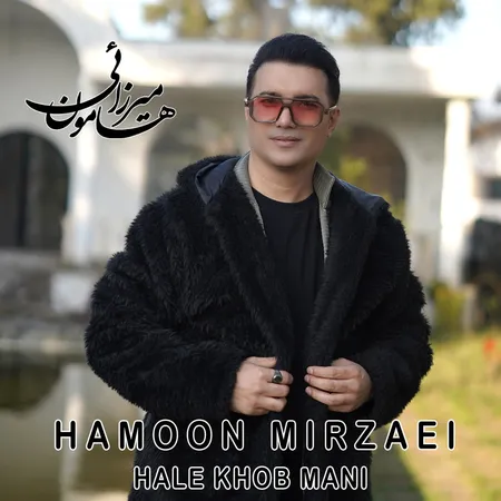 دانلود آهنگ هامون میرزائی حال خوب منی  دانلود آهنگ هامون میرزائی حال خوب منی