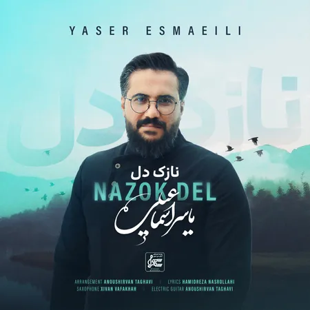 دانلود آهنگ یاسر اسماعیلی نازک دل  دانلود آهنگ یاسر اسماعیلی نازک دل