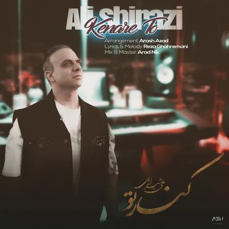 دانلود آهنگ علی شیرازی کنار تو  دانلود آهنگ علی شیرازی کنار تو