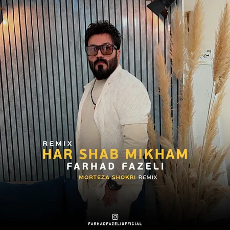 دانلود ریمیکس فرهاد فاضلی هر شب میخوام  دانلود ریمیکس فرهاد فاضلی هر شب میخوام